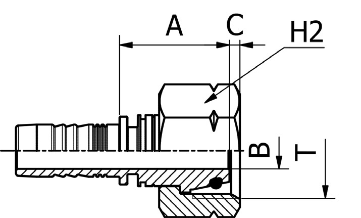 MS1513 - Metric O-Ring Female 24° Cone Light Duty ISO 8434-1 / DIN 3865